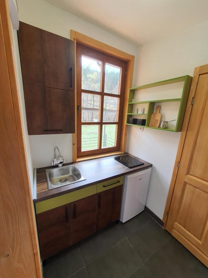 Apartments Ostojic Mokra Gora Zewnętrze zdjęcie